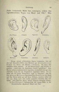 Figure 2: Morelli's Taxonomy of Artists by Ear Shape