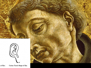 Figure 4: The Ear as Painted by Cosmè Tura and Drawn By Morelli